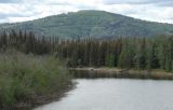 DSC_2187c.jpg