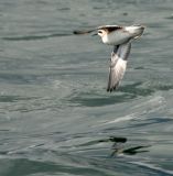 IMG_4296.jpg