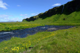 Landscape at Seljalandsfoss