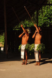 Natives, Amazon