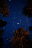 Star Trails, Sequoia National Park
