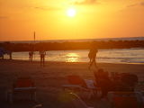 Beach Party