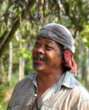 Rubber tapper in Kalimantan