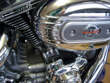 screamin eagle
