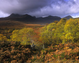 Riotous Colour Inverpolly