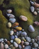 Stone Pointer