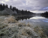 Frosty Loch Ard