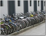 IMG_6013