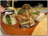 Anyone for snails?