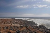 Seal colony, Cape Cross