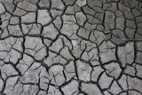 65_2680 Dry Soil, Damp Soil