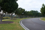 9000 The Misty Path