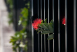 100819_124218_5799 Escaping The Prison Of Winter (Thu 19 Aug 10)