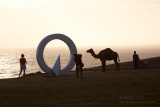 11977 Entering The Exit (38), The Adaptable Migrant (34), and Onlookers near dawn