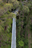 12523 Dont Look Down