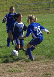 HL1Y1102.jpg