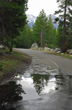 Road to Wrights Lake