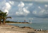 Crandon Park Beach