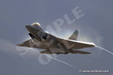 F-22 Raptor