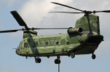 Air Power Demo (Chinook)