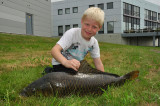 Boerenkarper (?), 84 cm, gezamelijk gevangen