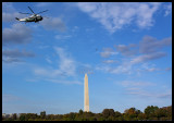 Seagull and Lame Duck over the Washington Monument