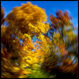 Fall