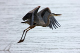 Take Off