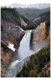 The Lower Falls of the Yellowstone River