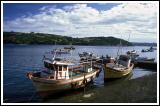 Fishing Boats