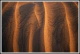 Details of sand dunes in Reaca