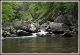 Crabtree Creek (below falls)