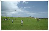 Field of Kites