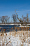 Winter at Mud Lake