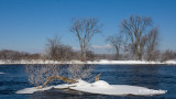 Frosty Morning at Mud Lake II