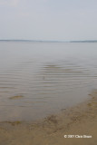 Mud Flat along the Ottawa River
