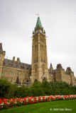 Peace Tower