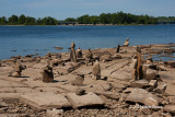 Remic Rapids Park IV