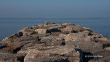 Britannia Park Pier