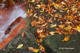 Andrew Haydon Park Waterfall