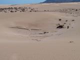 Dunes, Corralejo