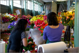 Arranging Flowers