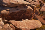 American Indian Petroglyphs Near the Puerco Ruins