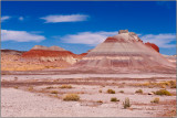 The Painted Desert