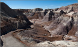 Blue Mesa Trail