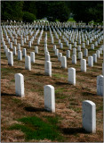 Arlington National Cemetary