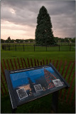 The National Christmas Tree