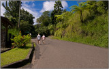 Walking Along a Road Just North of Soufrire