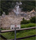 Sulfur Springs