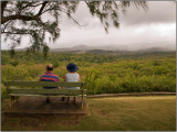 Enjoying the Scenery Surrounding Farley Hill Mansion